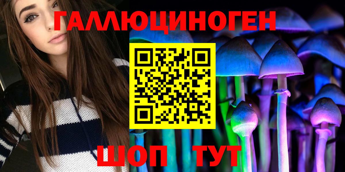 Кандалакша  Псилоцибиновые грибы прущие грибы  Вход с VPN  Галлюциногенные грибы Psilocybe 